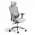 Sedia da ufficio ergonomica in rete grigia con braccioli regolabili 45 x 60 x 110cm
